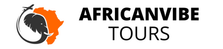 African Vibe Tours and Events