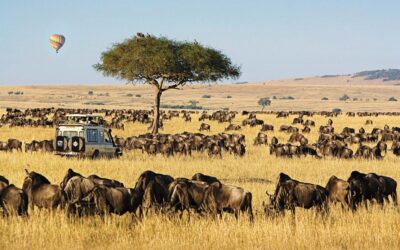 All National Parks & Game Reserves in Kenya