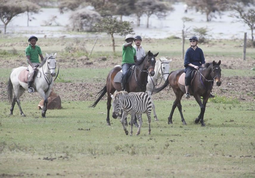 Take Horseback Safaris at The Sanctuary Farm in Naivasha