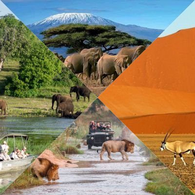 Best National Park for a Safari in Africa