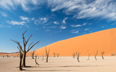 Best Time to Visit Namibia