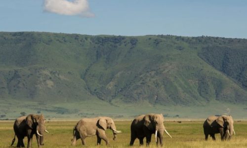 Ngorongoro Conservation Area, Tanzania