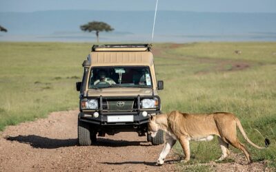 What is Maasai Mara National Reserve famous for?