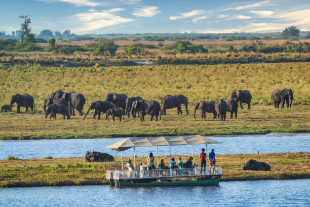 Chobe National Park Botswana