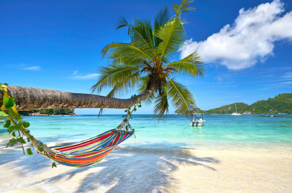 a-hammock-in-the-seychelles