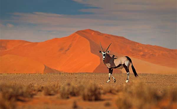 Do you need a visa to go to Namibia